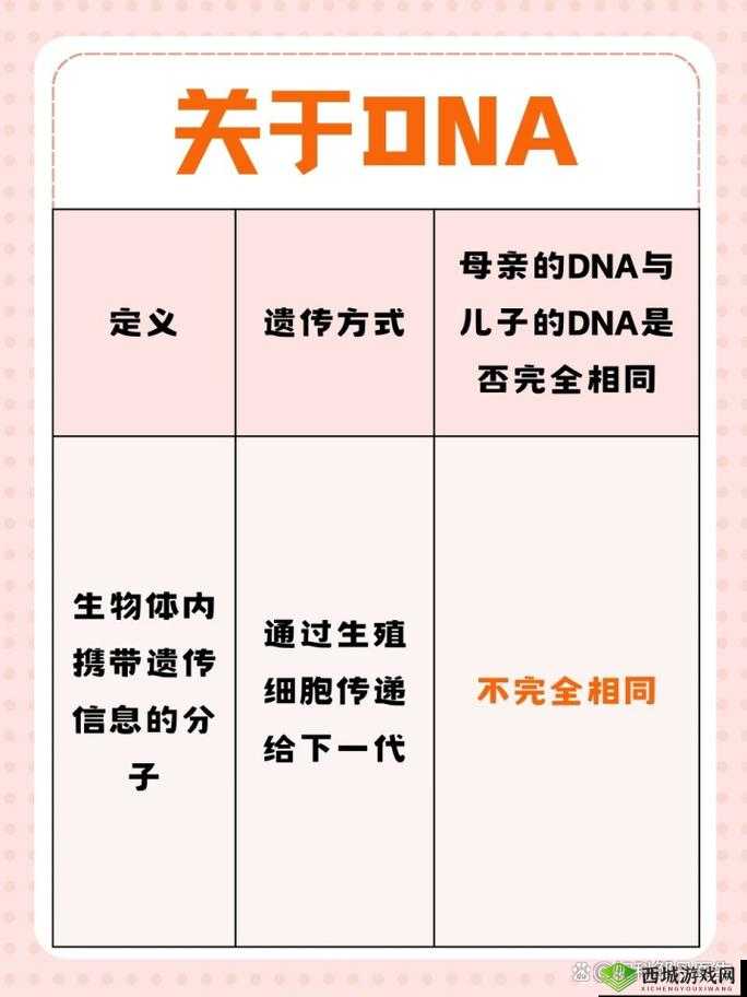 母亲和儿子 dna 一样吗：二者关系解析