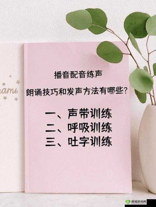 舌战玉门:技巧与方法大揭秘