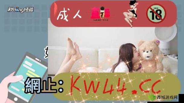 无人区一码二码三码是什么意思：深度解析
