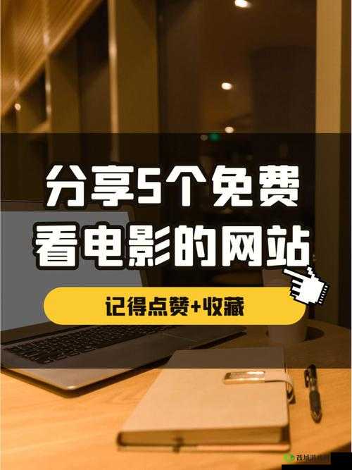 免费网站看电影和电视哪个好：深度解析对比