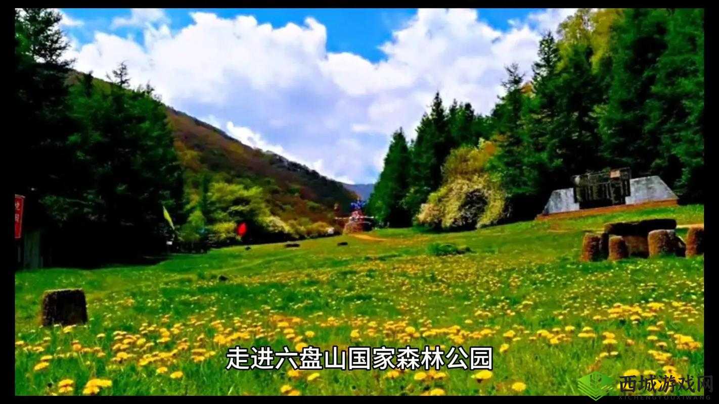 手：从下腹到丛林的私密旅程
