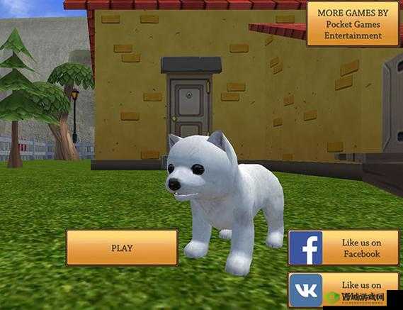 美国 ZOOM 动物-欢迎您-探索奇妙动物世界
