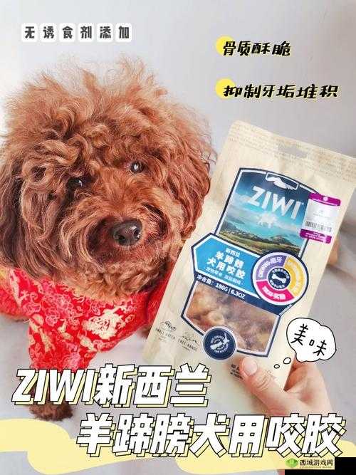 人狗胶配方大全图片:探索未知的秘密