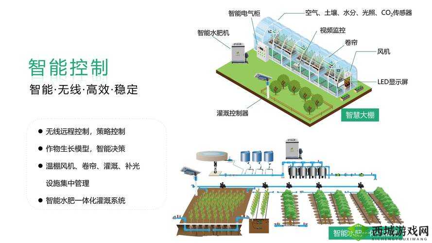 JY 灌溉系统助力高效农业发展