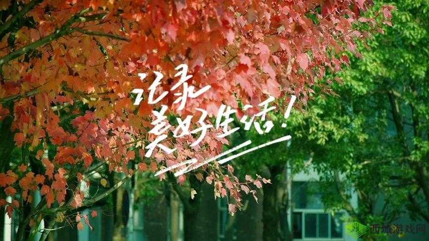 9.1 短视频 v3.6.0:记录美好瞬间