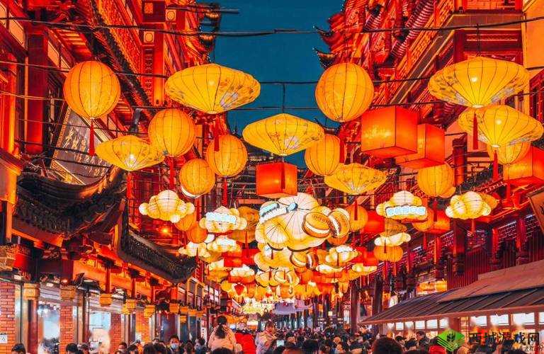 苏软软优质灌溉系统汉怡昏：引领高效灌溉新时代