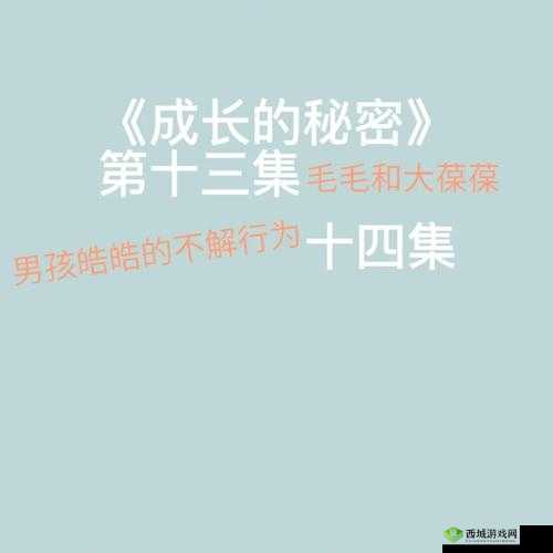 成长的秘密：毛毛葆葆观察记录