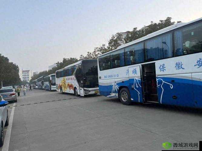 回乡大巴车最后一排:拥挤中的宁静