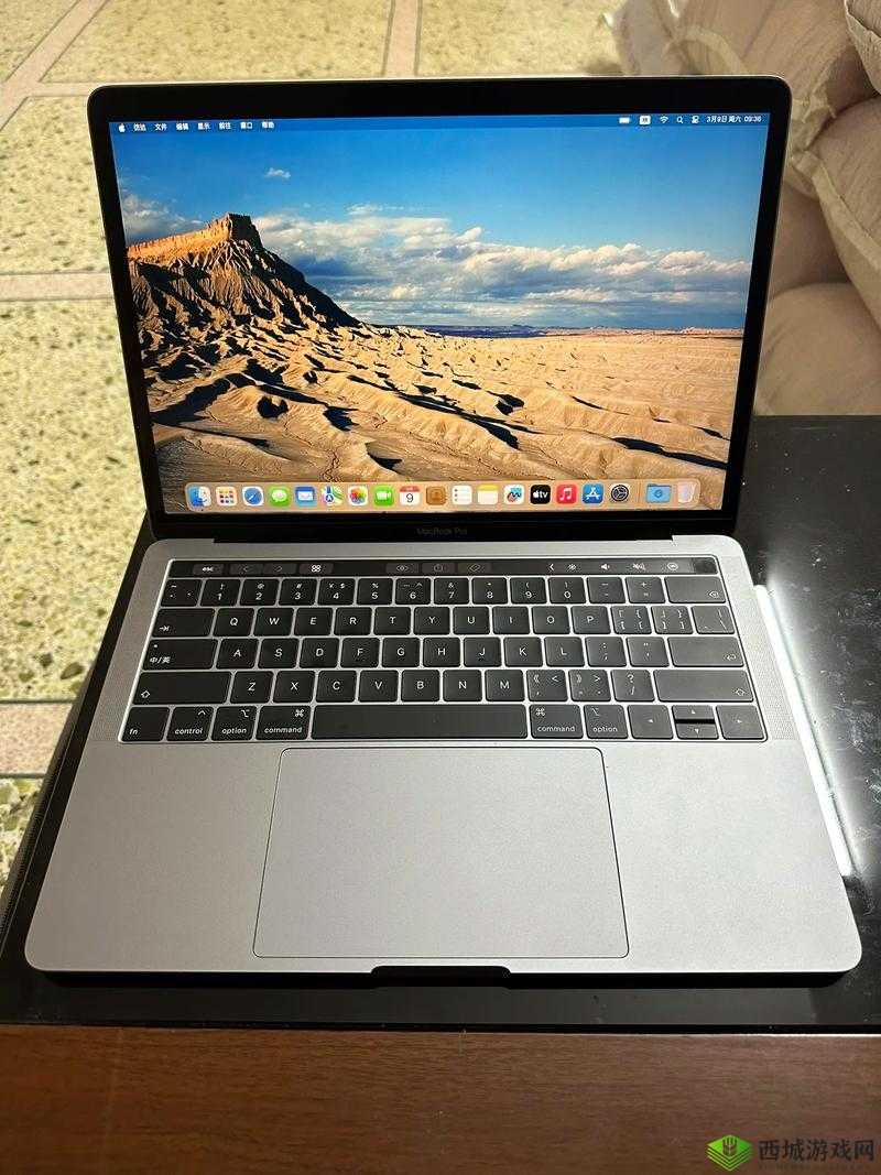 19 岁 MACBOOKPRO 欧美：青春与科技的交融