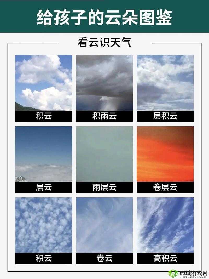 第一圣殿骑士新手攻略第十七章：探索失落的秘密