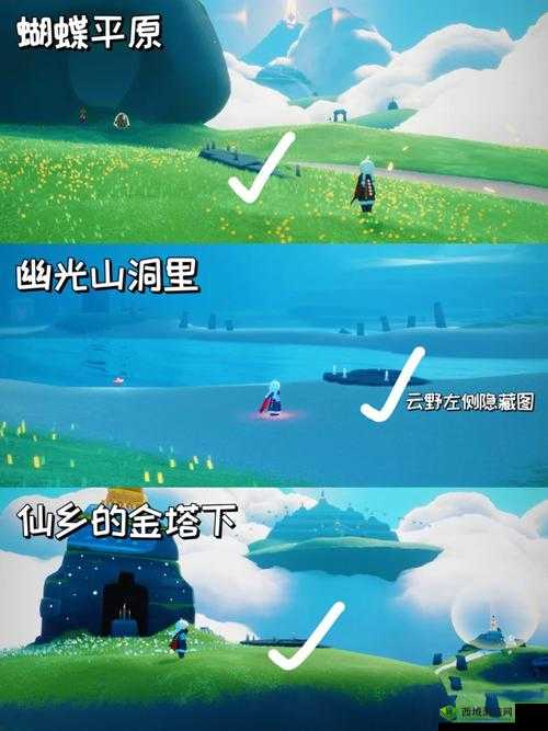 以光为导引,云野锦鲤池深处的冥想圣地