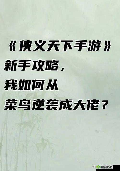 《将临天下》新手宝典:任务奖励系统与攻略指南