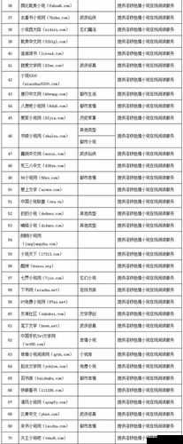 以色天使美国 91为中心:美国 91 网站被曝光