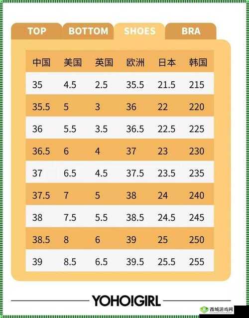 亚洲一码二码三码区别在哪：深度解析与探讨