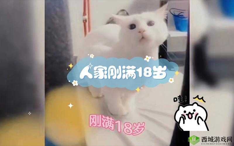 请确保您已年满 18 岁:这很重要