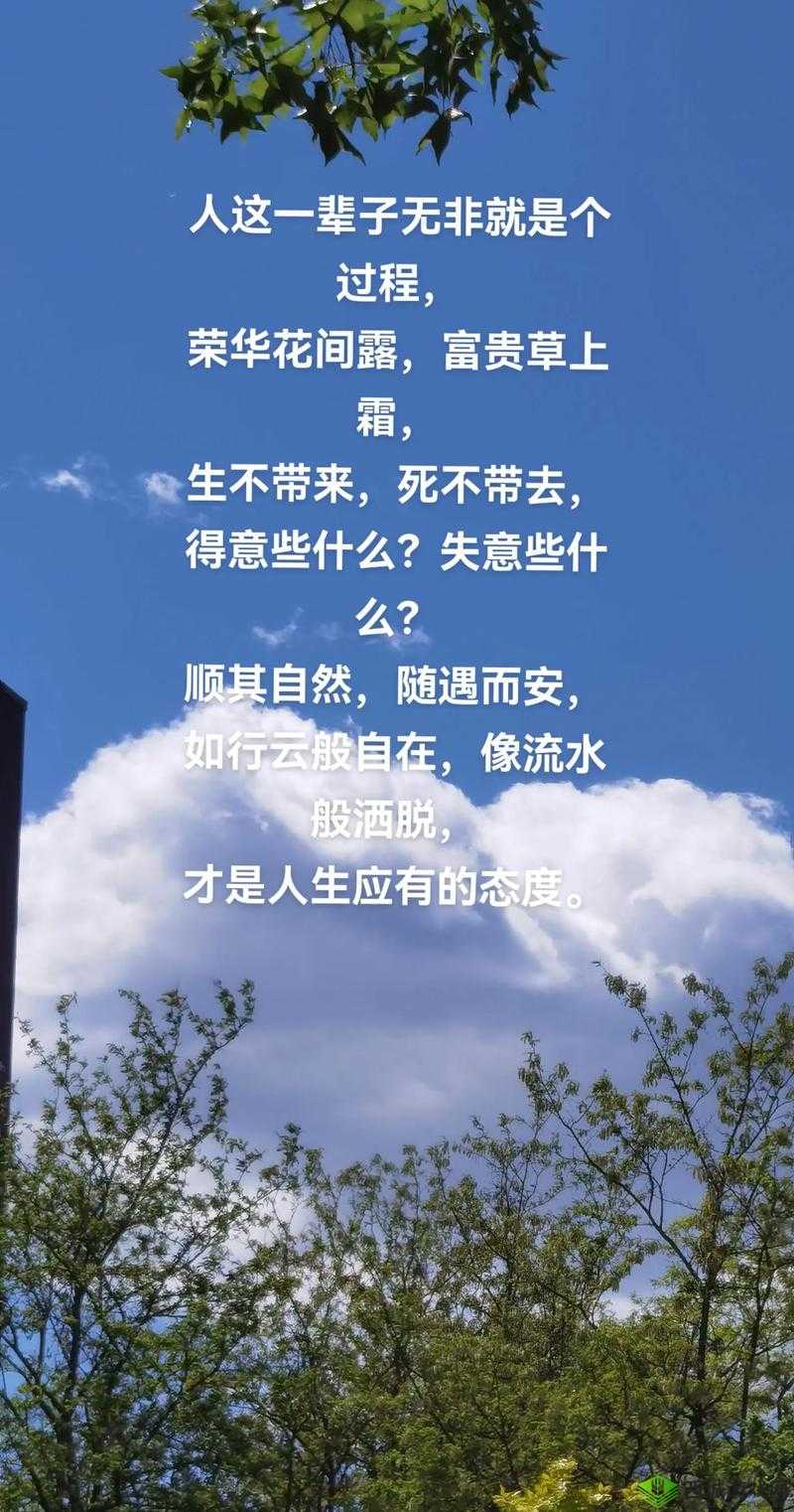 成全视频观看:让你尽享视觉盛宴