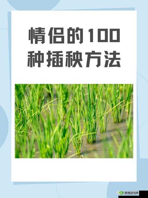 夫妻插秧 38 种方法:实用技巧与注意事项