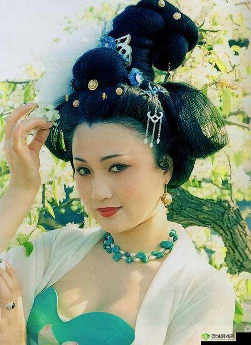 杨贵妃是谁的妃子:探究其在唐朝后宫的传奇地位