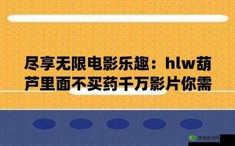 葫芦里面不卖药卖千万影片:独特视角呈现别样精彩