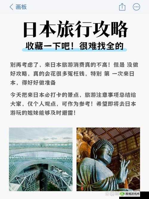 日本 20-21HD：精彩回顾与未来展望
