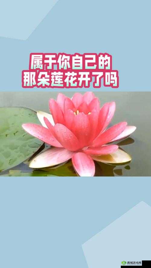女性半夜莲花开放会自愈吗:探寻这一现象背后的奥秘与真相