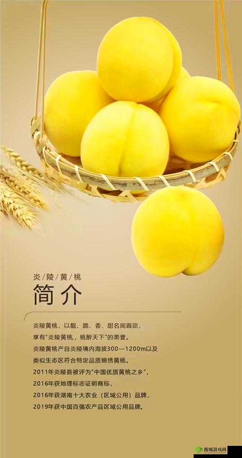 9612 黄桃亚洲品质蘑菇:独特风味的美味之选