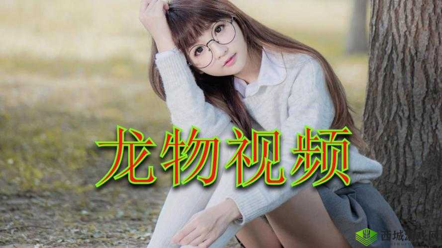 YW193.COC 龙物永不失联:畅享精彩独特资源