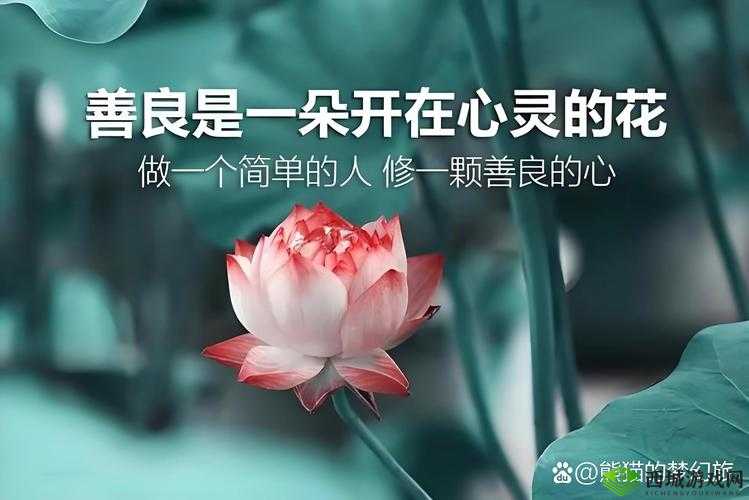 被夹在中间当磨心最后会怎样?收录大量黑料:一场不可避免的风暴