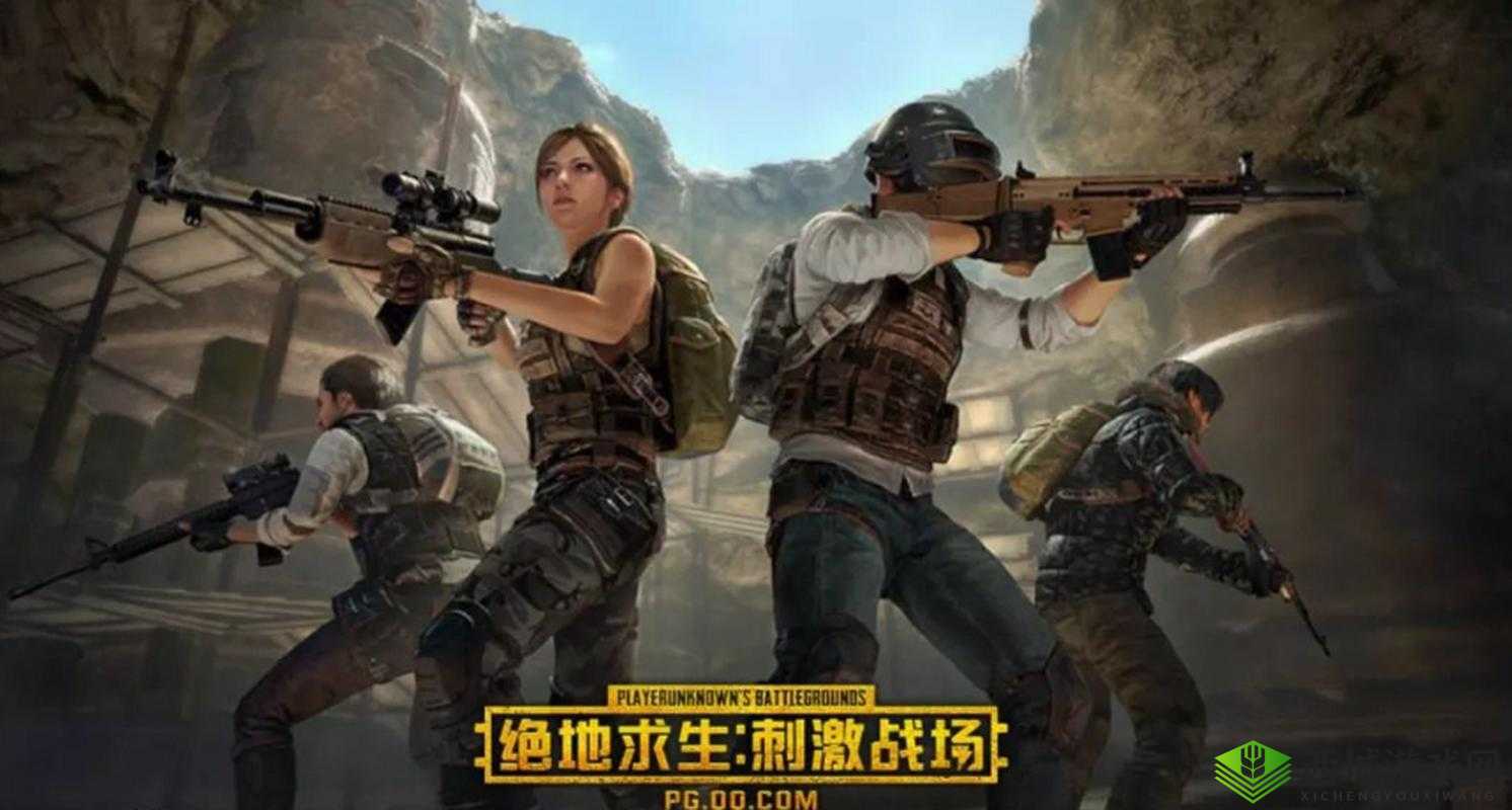 绝地求生刺激战场新手必读游戏规则分享，资源管理的艺术