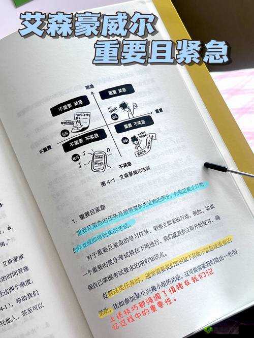 放学别跑公测开启，新手问答指南在资源管理中的重要性及高效利用策略