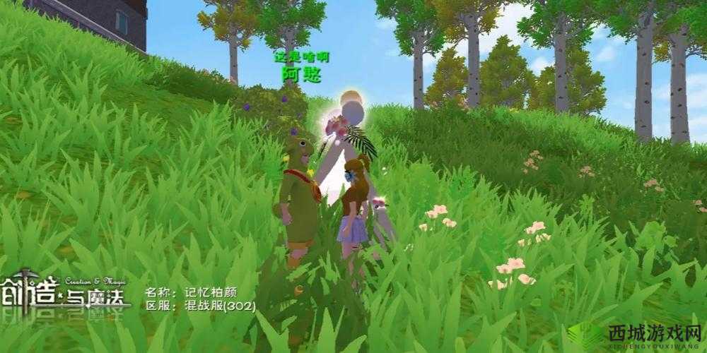 美食与奇幻的融合，探索创造与魔法中的羊排汤艺术