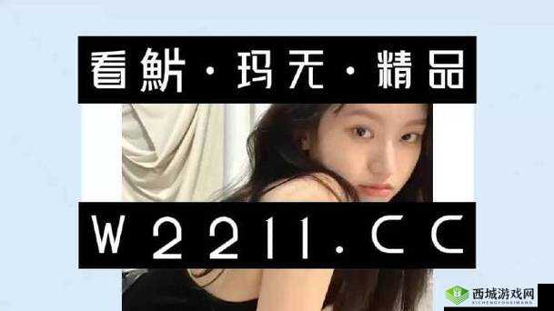 精品无人区码一二三四区别在哪儿:深入探究其背后的不同之处