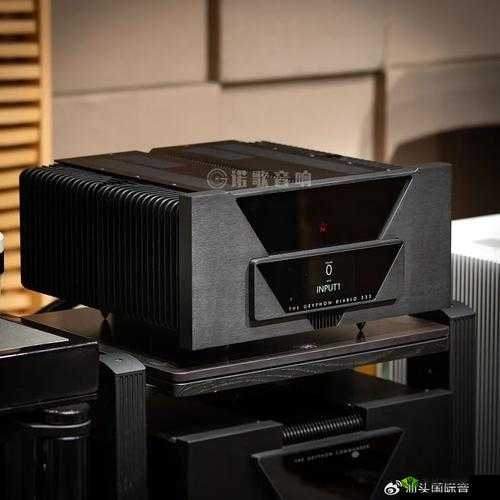 贵丰大菠萝 333:一款令人惊艳的独特产品