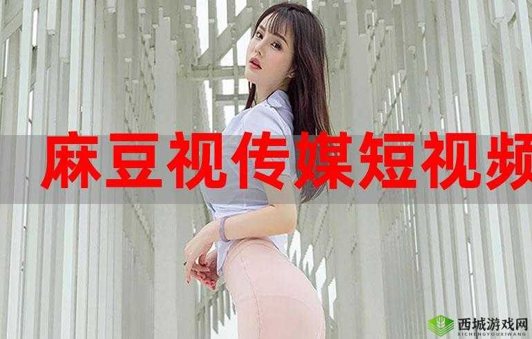 麻花豆传媒免费 MV 在线观看:精彩无限,畅享视觉盛宴
