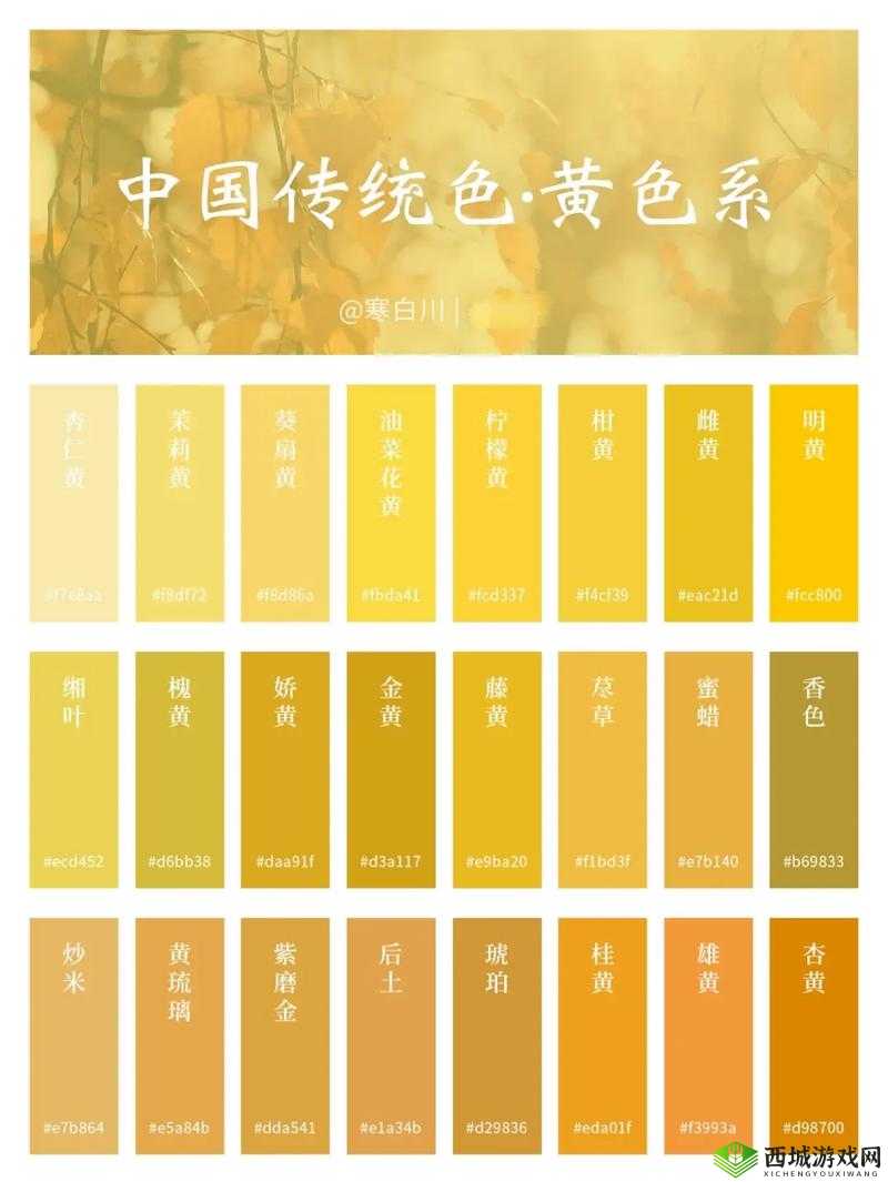60 一级黄色:探秘其独特魅力与背后的神秘色彩