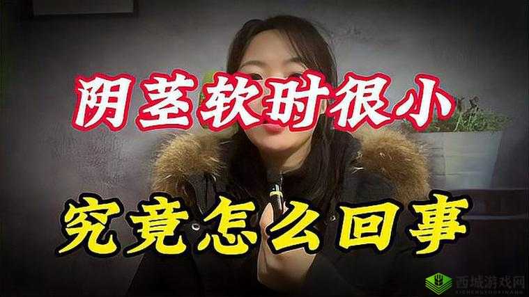 为什么软的时候小到底是为何呢:其背后的缘由探析