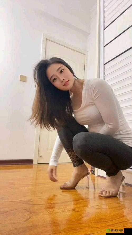 1024 人妻一区二区三区不卡:畅享精彩多元内容