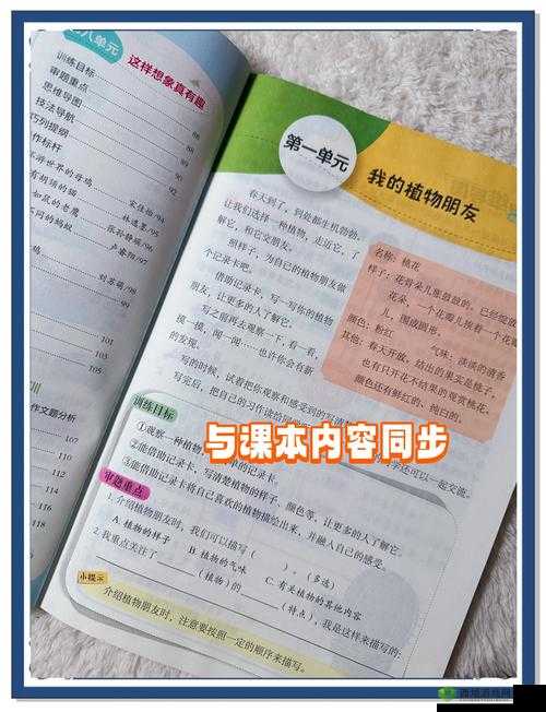 三年中文在线观看中文版:全面提升中文能力的最佳学习资源与实用技巧分享