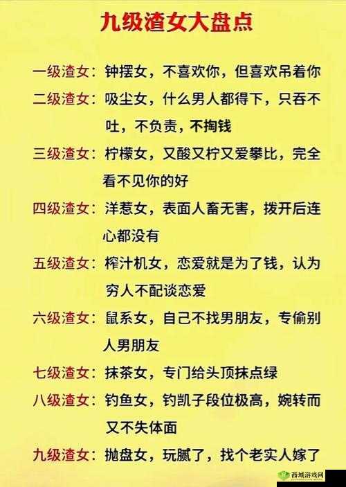 渣男渣女鉴定师渣女系列第十三关深度解析,通关攻略与游戏机制探索